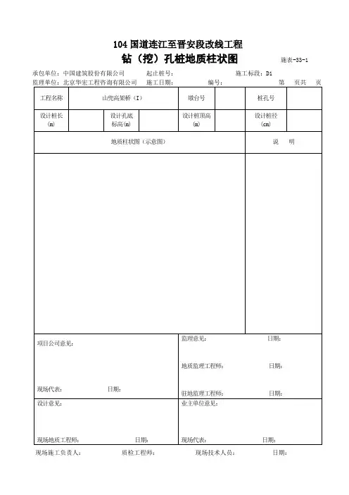 桩基记录地质柱状图
