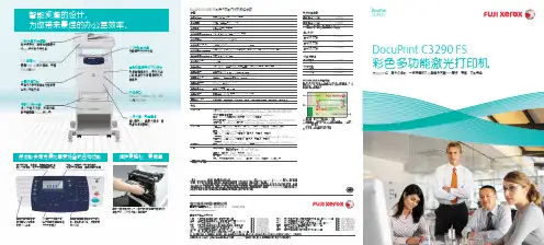 DocuPrint C3290FS 打印机 说明书