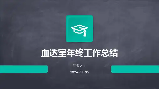 血透室年终工作总结模版PPT