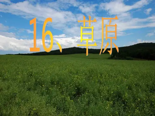 苏教版小学语文六年级上册《草原》精品PPT课件