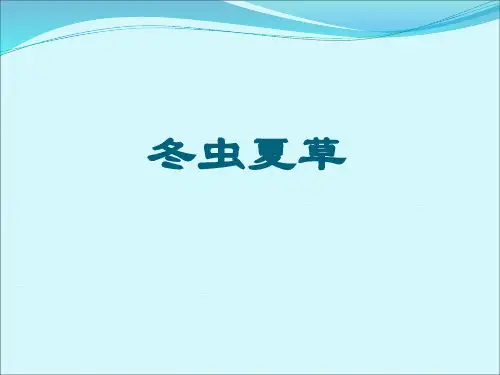 冬虫夏草
