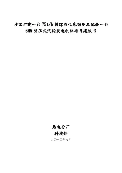 技改扩建一台75吨的循环流化床项目实施建议书