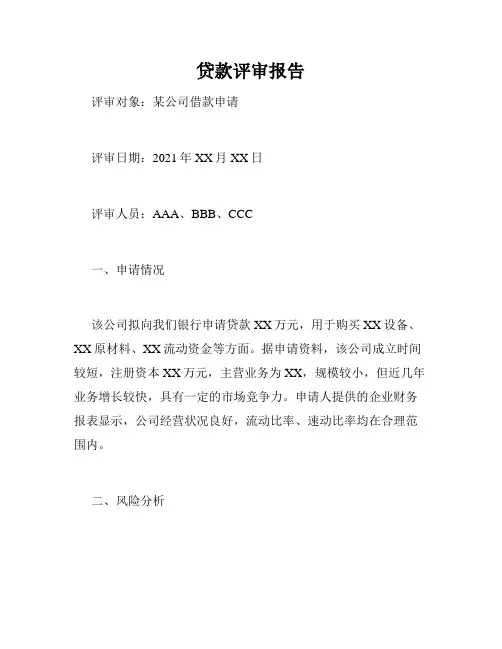 贷款评审报告