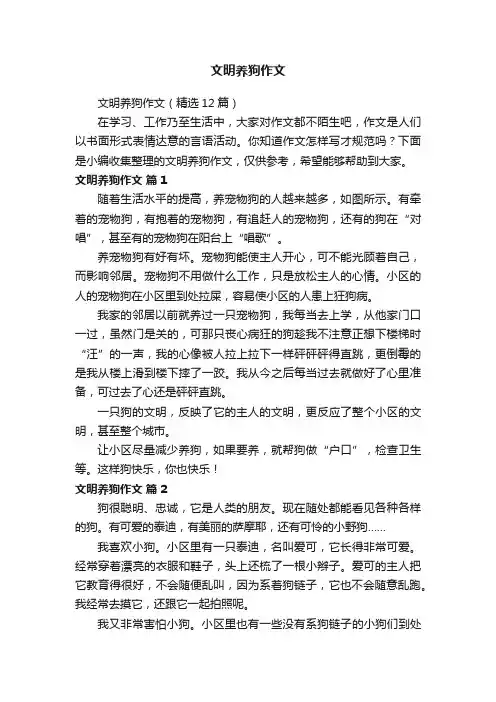 文明养狗作文（精选12篇）