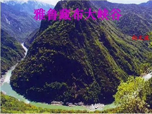 人教版四年级语文上册2.雅鲁藏布大峡谷(精品课件)
