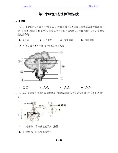 北师大版七年级生物上册单元练习第6章绿色开花植物的生活史(附解析)