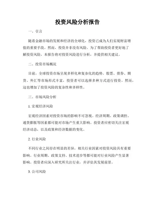投资风险分析报告