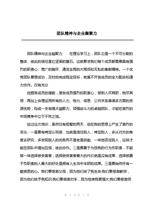 2023年团队精神与企业凝聚力