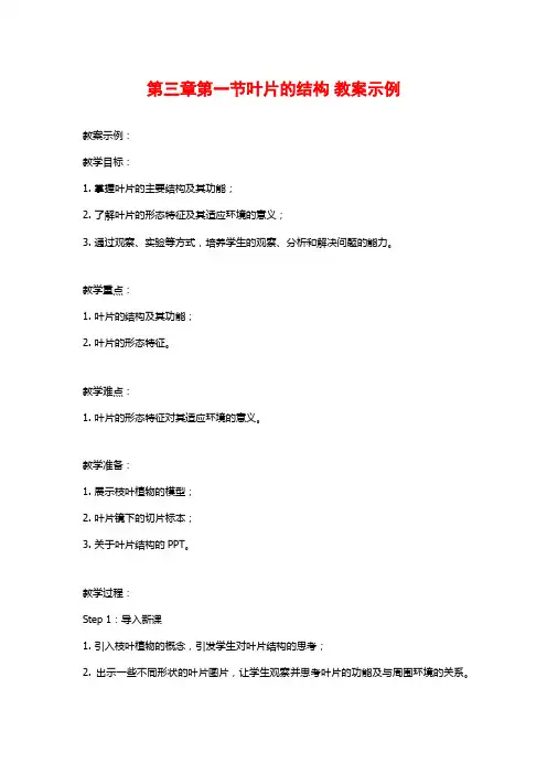第三章第一节叶片的结构 教案示例