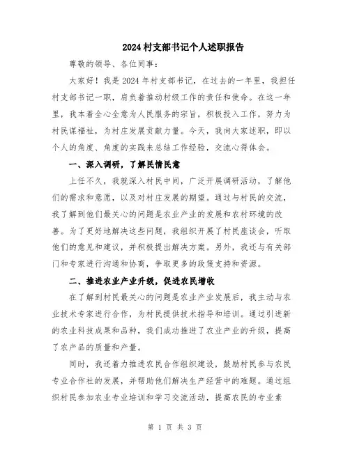 2024村支部书记个人述职报告