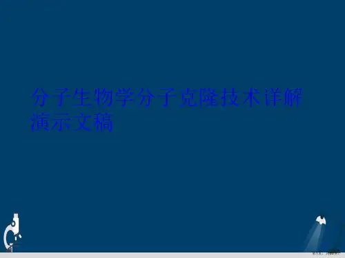 分子生物学分子克隆技术详解演示文稿