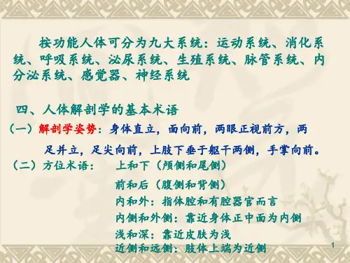 绪论、骨学(General-Introduction、OsteologyPPT课件