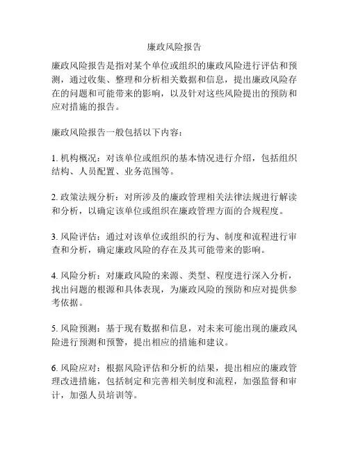 廉政风险报告