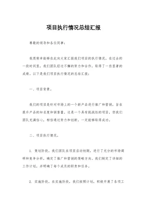 项目执行情况总结汇报