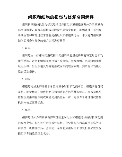 组织和细胞的损伤与修复名词解释