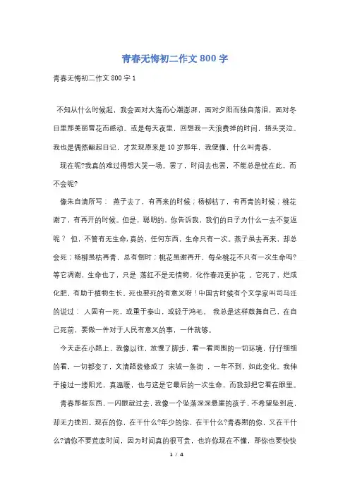 青春无悔初二作文800字