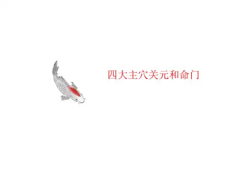 四大主穴讲义关元和命门