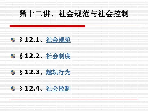 大学教育-社会学概论-sociology 12-597