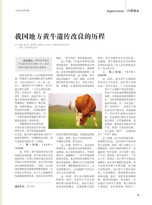 我国地方黄牛遗传改良的历程