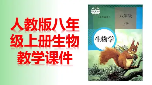 人教版八年级上册生物第五单元第四章 细菌和真菌 1-5节共5课时课件(共129张PPT)