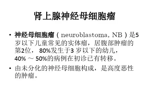 肾上腺神经母细胞瘤ppt课件