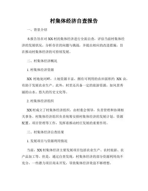 村集体经济自查报告