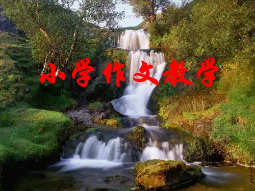 小学作文教学 ppt课件