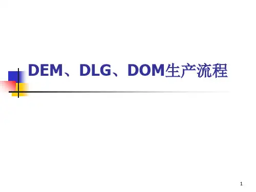 DEMDOMDLG生产流程.ppt