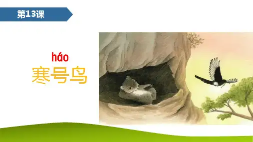统编版二年级语文上册13 寒号鸟 课件(共41张PPT)