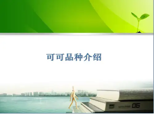 可可品种介绍分析
