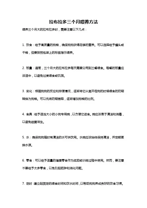拉布拉多三个月喂养方法