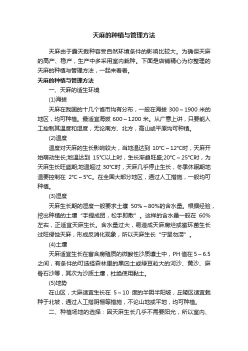 天麻的种植与管理方法