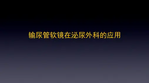 如何做好一台输尿管软镜手术
