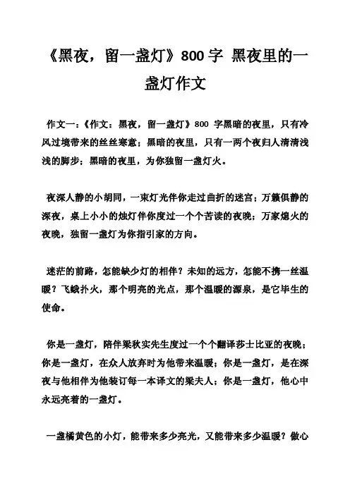 《黑夜，留一盏灯》800字黑夜里的一盏灯作文