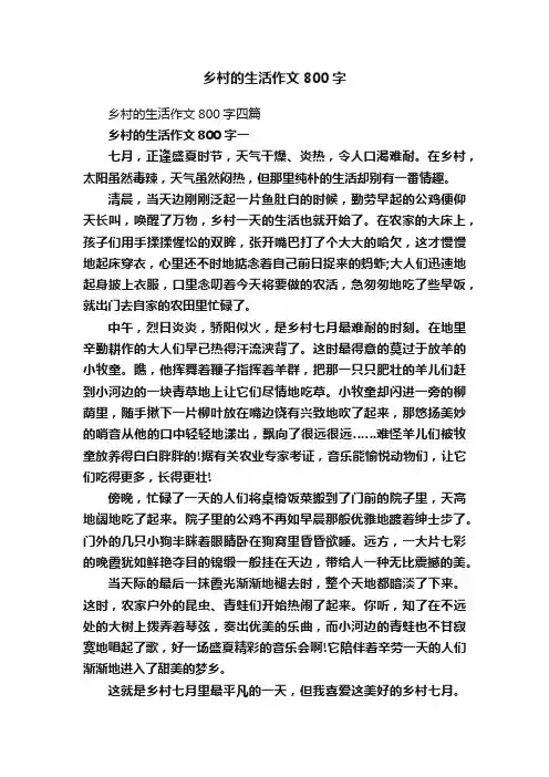 乡村的生活作文800字