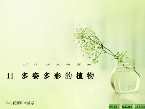 苏教版小学科学一年级下册《11多姿多彩的植物》课件