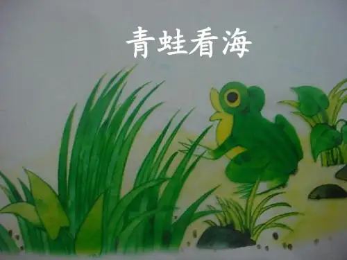 青蛙看海