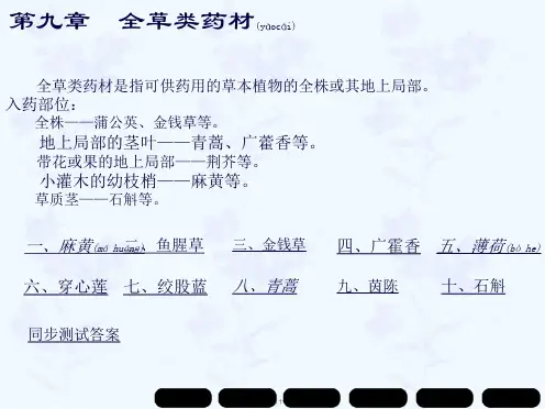 全草类药材(ppt版)