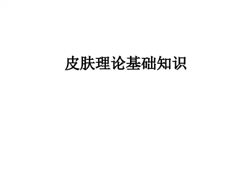 皮肤理论基础知识