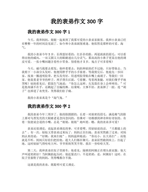 我的表弟作文300字