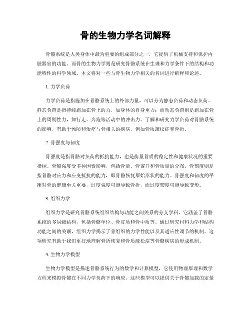 骨的生物力学名词解释