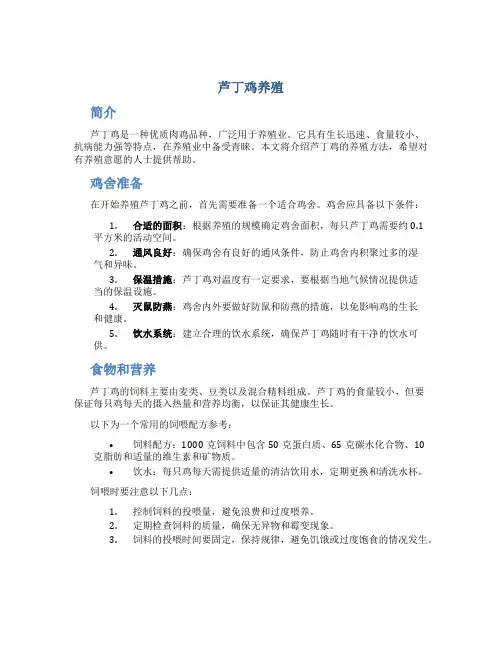 芦丁鸡养殖
