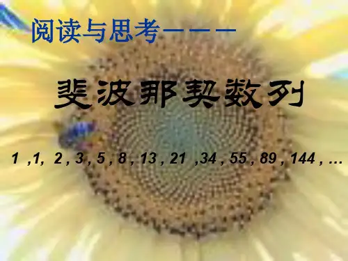人教A版高中数学必修5《二章 数列  2.1 数列的概念与简单表示法  阅读与思考 斐波那契数列》示范课课件_7