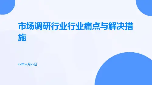 市场调研行业行业痛点与解决措施ppt