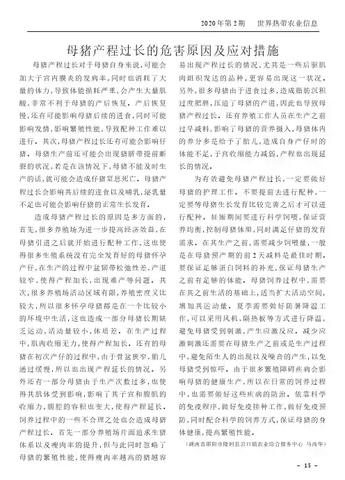 母猪产程过长的危害原因及应对措施