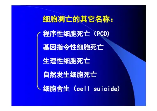 最新09细胞凋亡与疾病-PPT文档