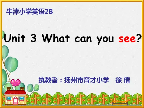 牛津译林苏教版小学英语二下《Unit 3 What can you see》课件(公开课) (2)