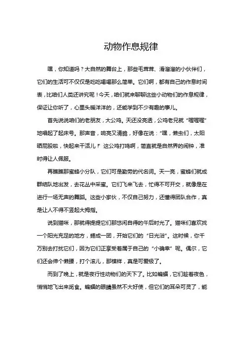 动物作息规律