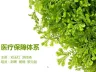 医疗保障体系-终极版_PPT课件