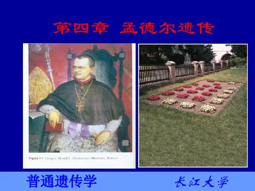 普通遗传学4
